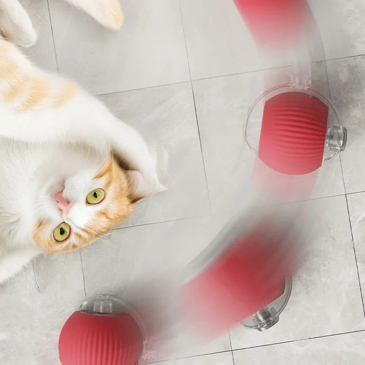 Imite une souris