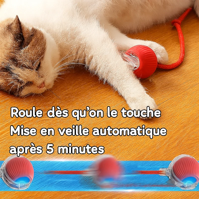 Balle Interactive pour Chat