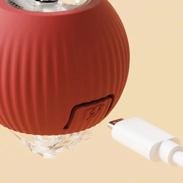 Batterie rechargeable USB-C