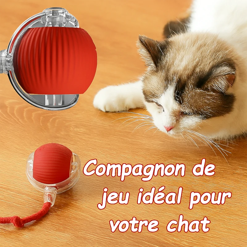 Balle Interactive pour Chat