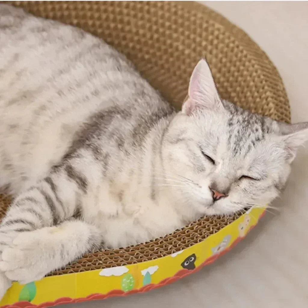 Nid pour chat ovale en carton ondulé