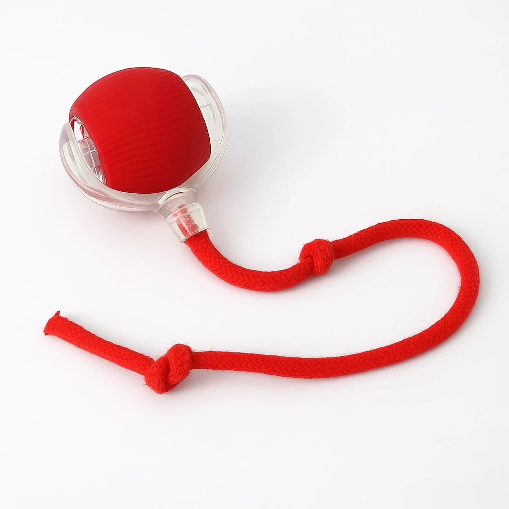 Balle Interactive pour Chat