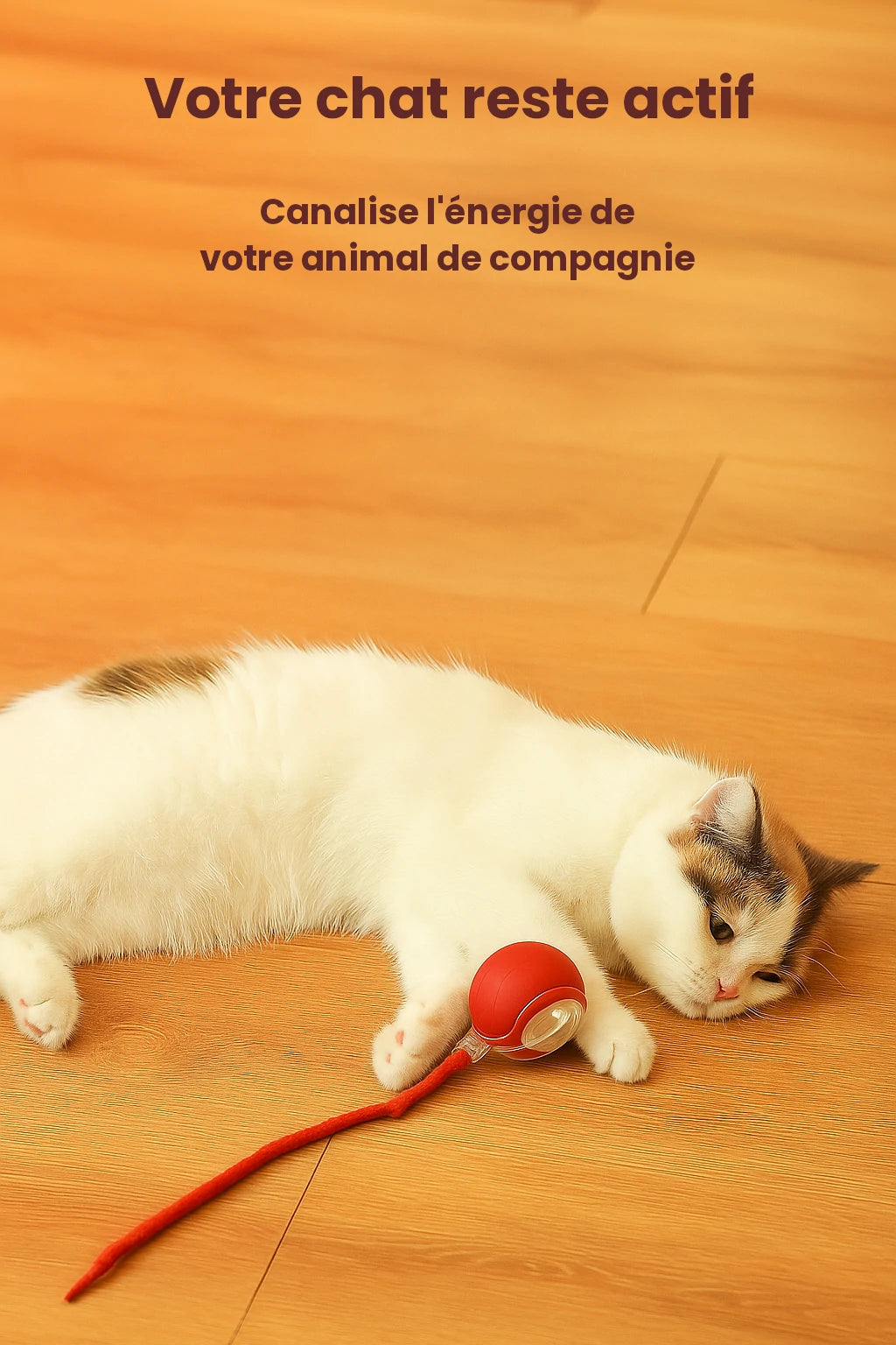 Balle Interactive pour Chat
