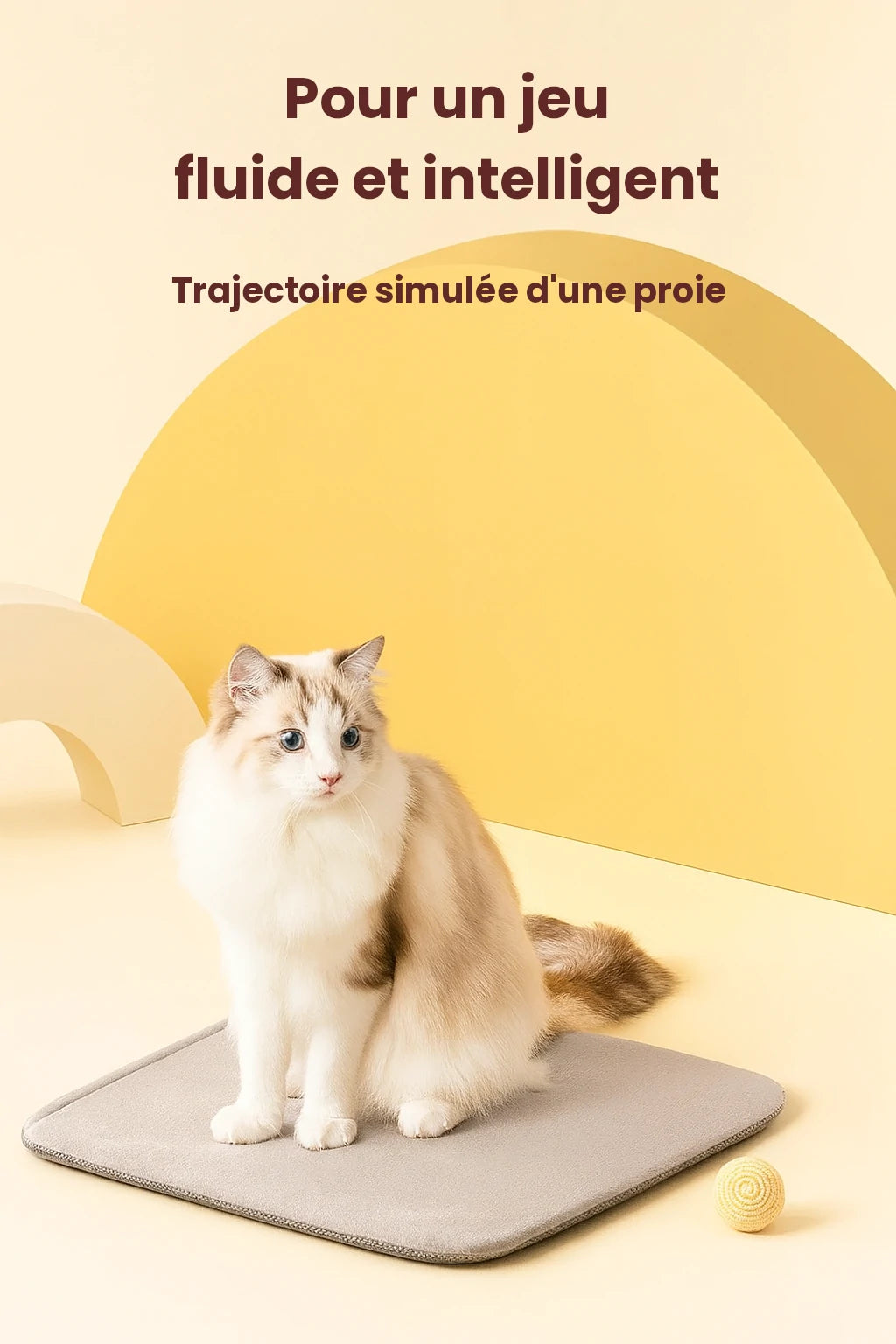Balle Interactive pour Chat