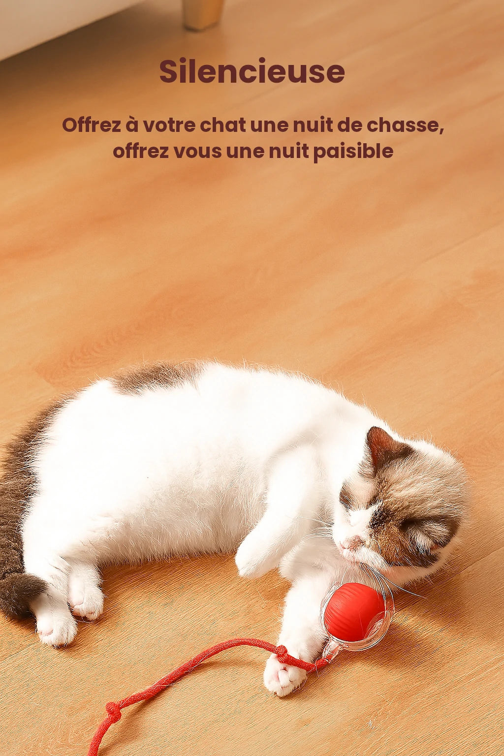 Balle Interactive pour Chat
