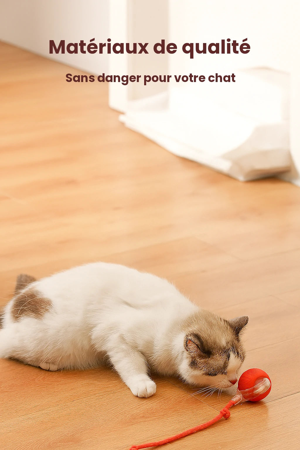 Balle Interactive pour Chat