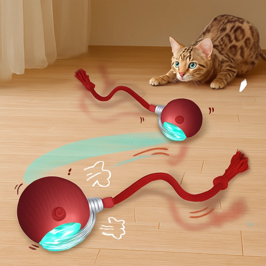 Balle Interactive pour Chat