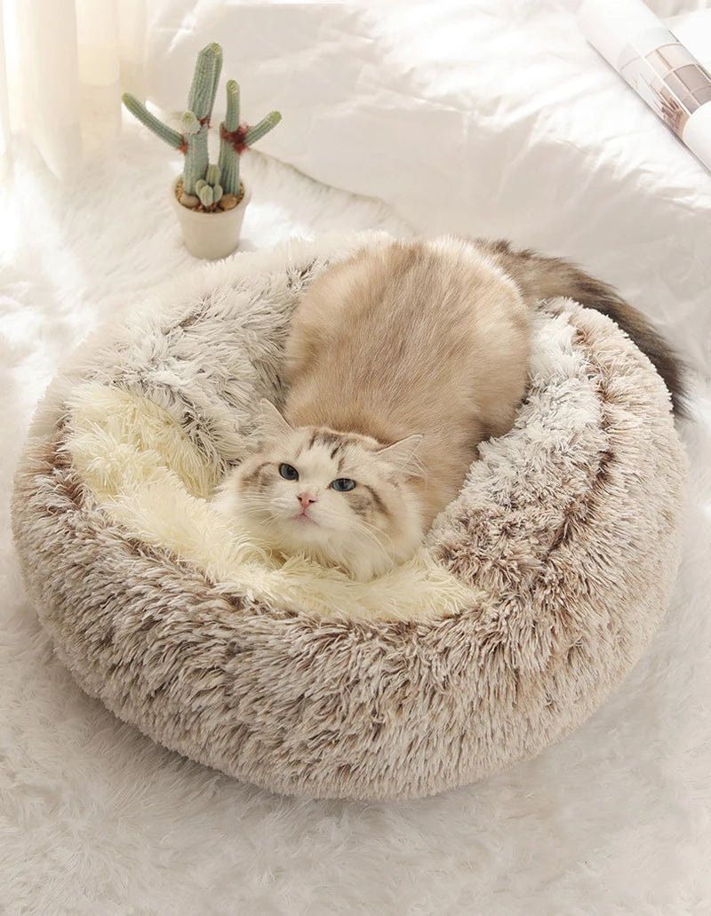 Lit en peluche douce avec housse pour chat