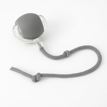 Balle Interactive pour Chat
