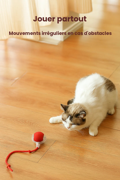 Balle Interactive pour Chat